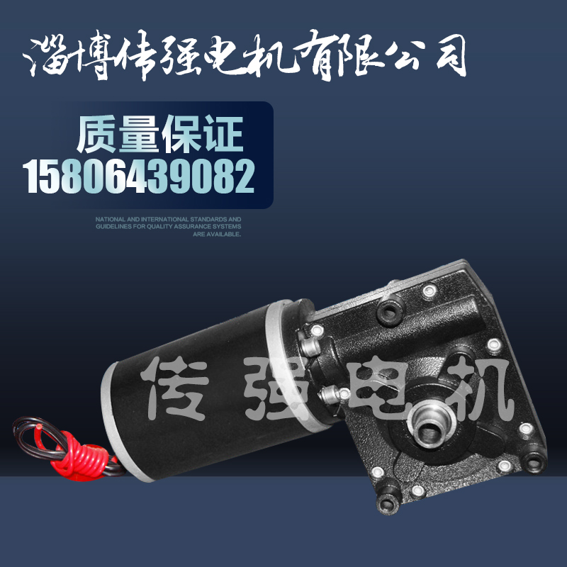80ZYJ02高爾夫球包車電機
